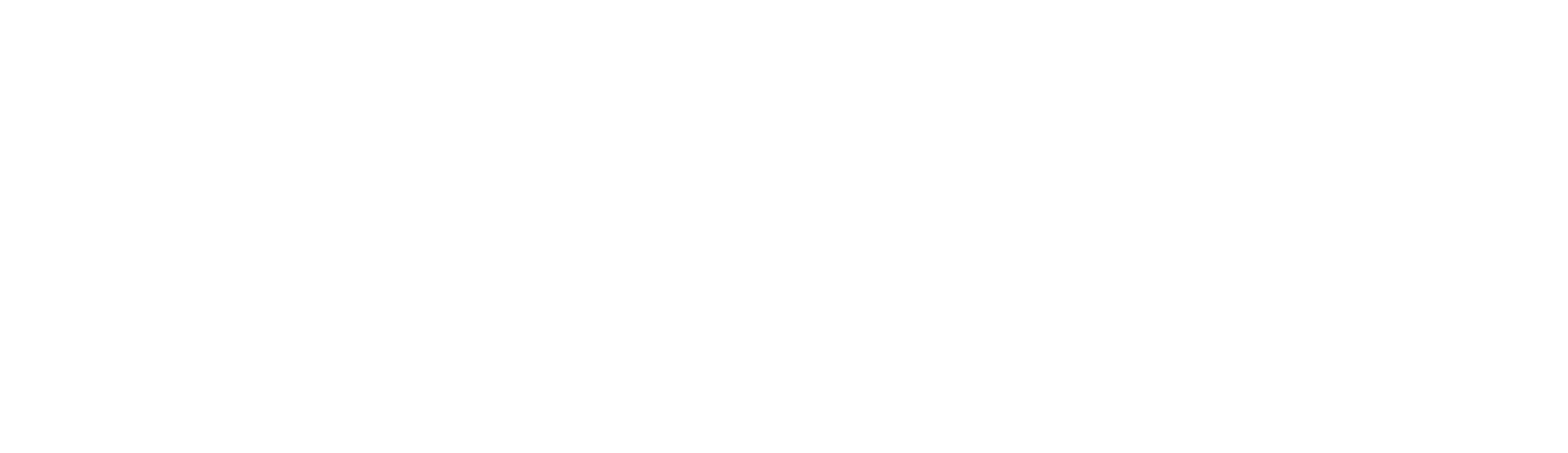 Optimum Electric